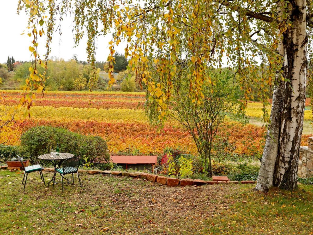 Apartment Am Weinberg By Interhome Bad Dürkheim Kültér fotó