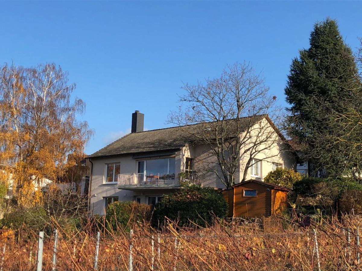 Apartment Am Weinberg By Interhome Bad Dürkheim Kültér fotó